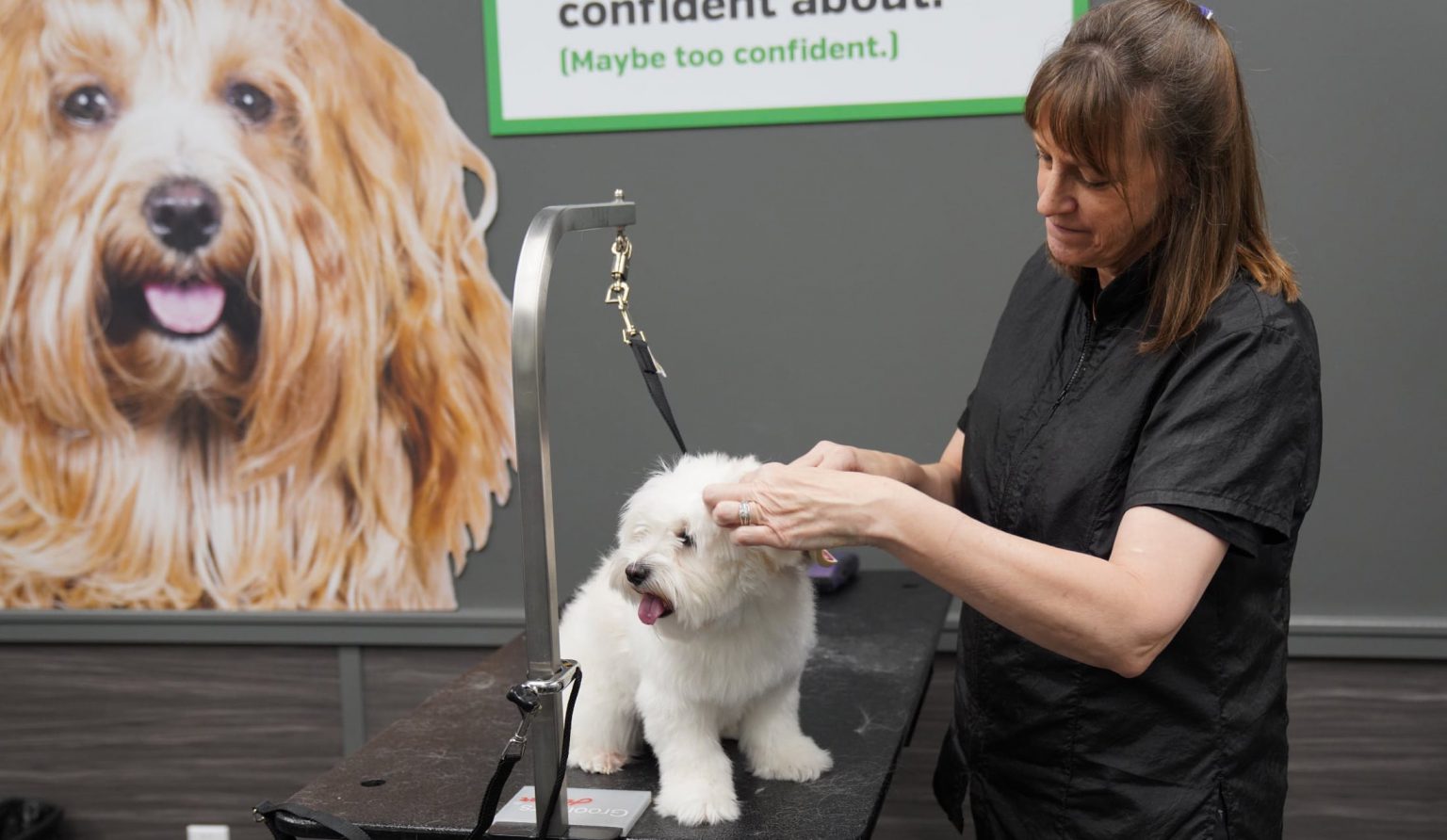 pet grooming classes