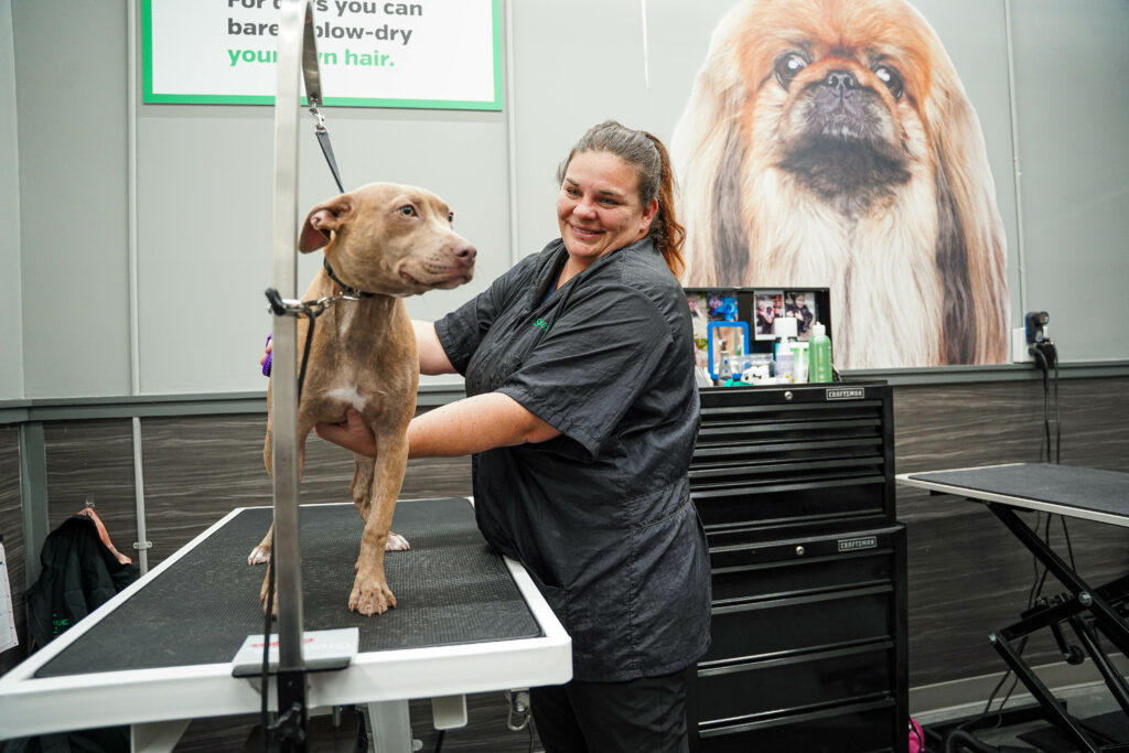 Dog getting groomed at Pet Supplies Plus